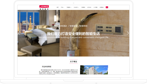 官網(wǎng)推廣與運營